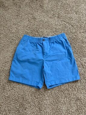 Tommy Hilfiger Bright Blue Hybrid Shorts
